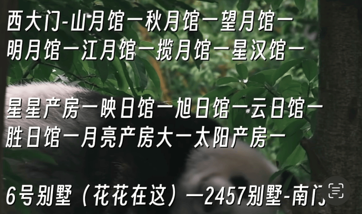 熊猫繁育基地游览顺序